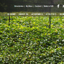 August 2014 ICT Newsletter